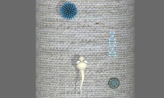برنامه‌نما Sperm journey 3D عکس از صفحه