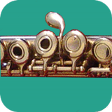 How To Play Flute APK