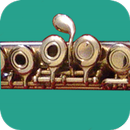 How To Play Flute-APK