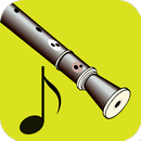 How To Play Recorder APK