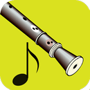 How To Play Recorder-APK