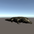 Crocodile AR