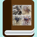 Ebook spesies laba-laba APK