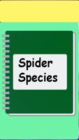 پوستر Spider species ebook