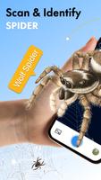 Spider Identifier: Insect ID Cartaz