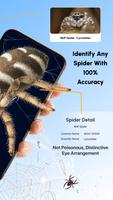 Spider Identifier: Insect ID imagem de tela 1