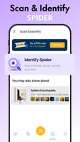 Spider Identifier: Insect ID imagem de tela 2