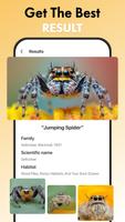 Spider Identifier: Insect ID imagem de tela 3
