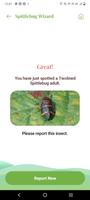 Twolined Spittlebug Tool screenshot 3