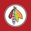 APK Chicago Hockey News