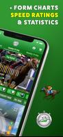 Racing Asset 스크린샷 1