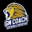 GM TEAM APK