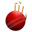 Cricket League Zeichen