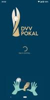 DVV Pokal Affiche