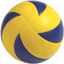 Volleyball Video & Training APK