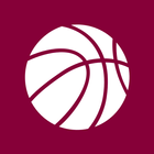 Cavaliers Basketball icône