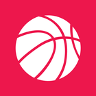 Pistons Basketball simgesi