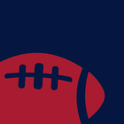 Texans Football icono