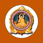 Nagarjuna icône