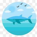 whale shark season APK