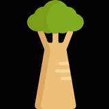 Description Of Baobabs Trees icône