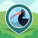 WaldrApp | SPOTTERON APK