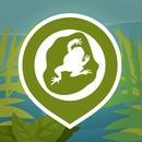 AmphiApp APK