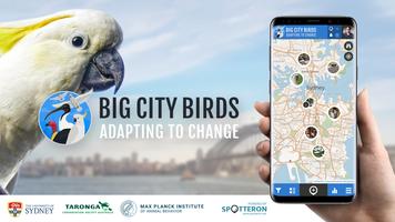 Big City Birds bài đăng
