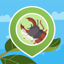 BOB BeetleObserver APK