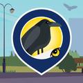 KraMobil - Observing Crows