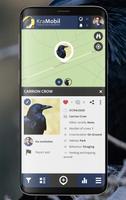 KraMobil screenshot 3