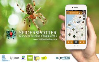 SpiderSpotter Affiche