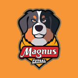 Magnus Futsal icône