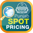 Punjab Spot Pricing