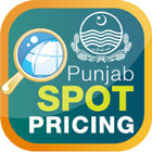 Punjab Spot Pricing-icoon