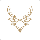 Aile Perfumes APK