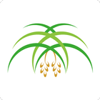 العبدلي للتمور icono