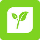 غصن الليمون APK