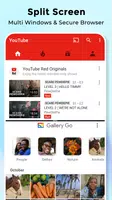 Split Screen Multitasking imagem de tela 3