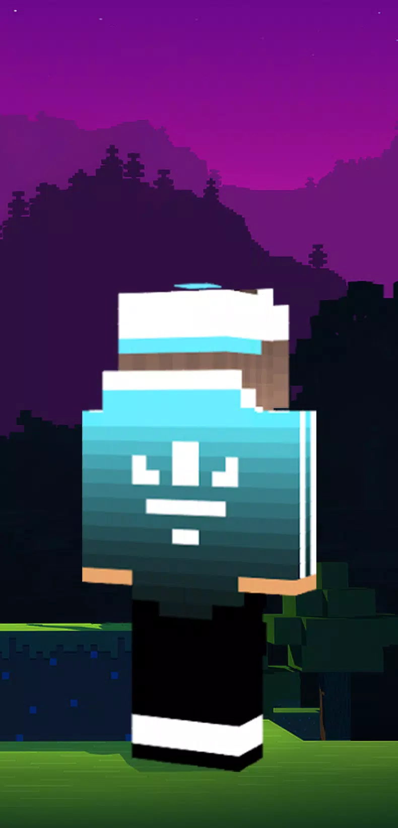 Adidas Skin for Minecraft APK for Android Download
