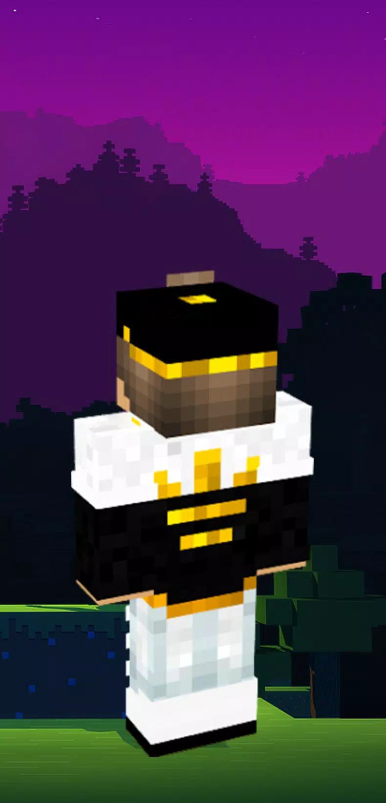 Descarga de APK de Adidas Skin for Minecraft para