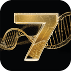 ikon 7 ICIM