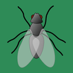 Fly Sounds