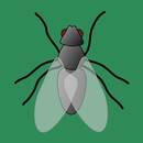Fly Sounds APK