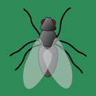 Fly Sounds иконка