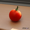 Tomato LiveWallpaper APK