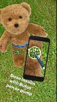 Rufus, the Bear with Diabetes syot layar 2