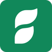 Sproutful icon