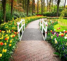 Spring Nature Wallpaper poster