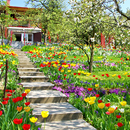 APK Spring Flowers Garden Wallpape